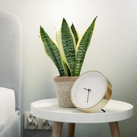 דירה Szczerbowskiego A לובלין